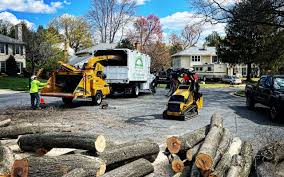 Leaf Removal in Hampden Sydney, VA