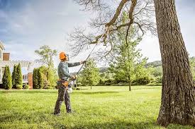 Best Leaf Removal  in Hampden Sydney, VA