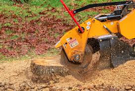 Best Lawn Maintenance Plans  in Hampden Sydney, VA